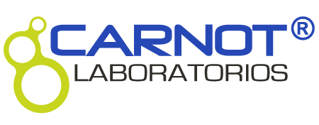 logo icon